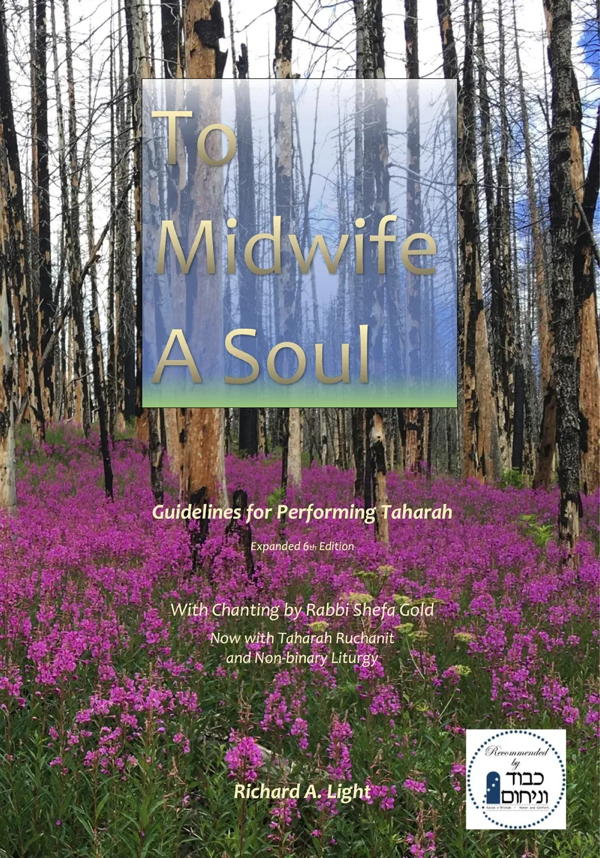 ToMidwifeASoul cover